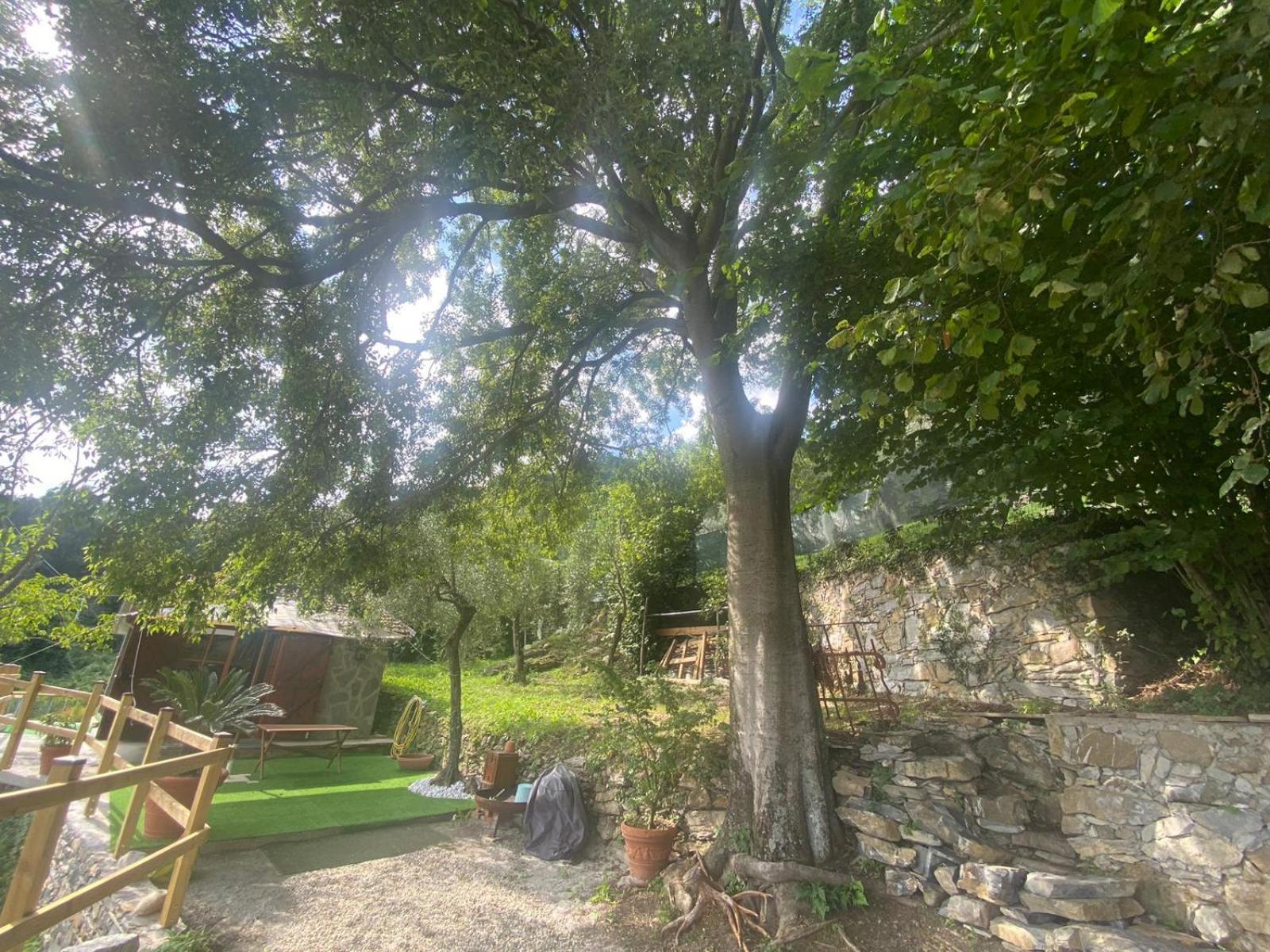 La Sosta Al Bagolaro Appartement Rapallo Buitenkant foto
